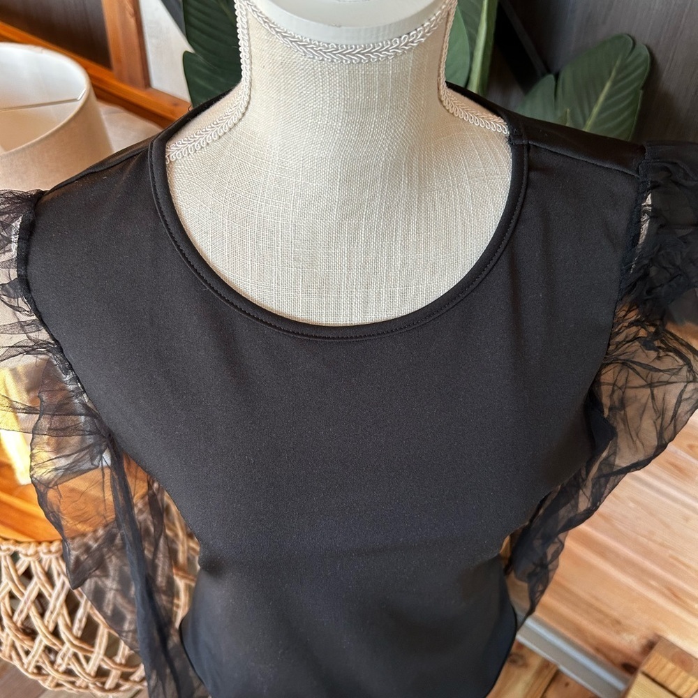 Elegant Black Sheer Sleeve bodysuit from SHEIN size Large - Picture 2 of 8